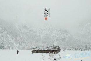 2017年大雪是几月几日