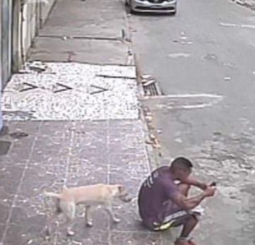 男子坐在路边玩手机,被狗误认为消防栓尿一身,真相让人笑喷