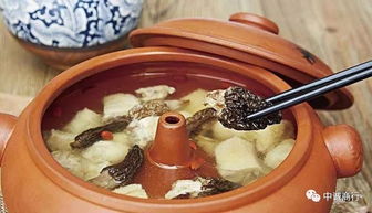 羊肚菌和什么煲汤最好 羊肚菌炖汤的最佳做法 