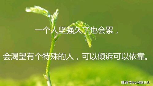 经典有哲理的人生感悟,简短精辟,读完你受益了吗