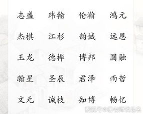 一个好的名字可以带来好运,男宝宝大福大贵好名字