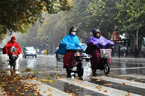 天气预报 28 31号暴雨大雨中心确认,60年一遇冷夏 看农谚咋说