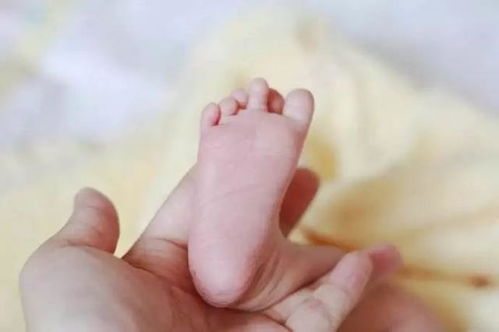 怀孕5个月,宝宝被检查出有 3只手 ,孕妈却坚持让孩子出生