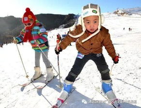 缤纷东北,三飞畅游,冰雪哈乐滨,童话雪乡 旅游频道 