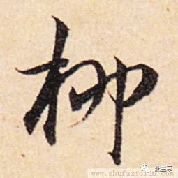 每日一字 柳