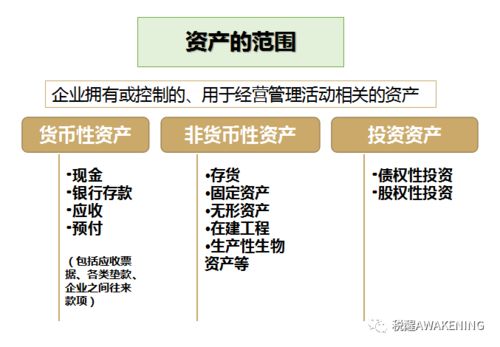 当期损失与所有者权益的损失分别怎么理解？