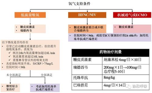 感染新冠检查哪些项目（新冠感染检测） 第1张