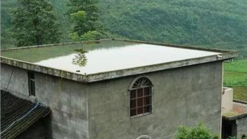 农村房子要在房顶建一个蓄水池,到底有什么用
