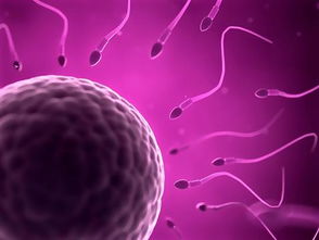 原创男人精液这3种表现说明生育能力强，女人容易一碰就孕，备孕了解下