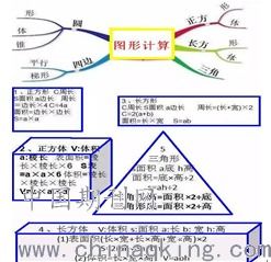 如何运用 思维导图 提高学生的学习效率 