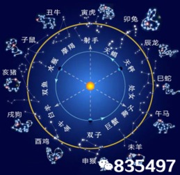 12生肖和12星座,到底哪个更准 