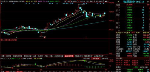 请问是不是股票是中小板就用399005的指数来衡量是吗