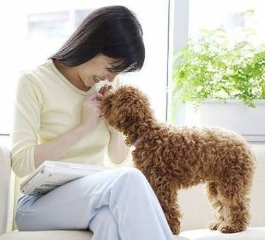养宠物能降血压防过敏 拥有宠物10个好处 