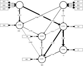 请教下熟悉结构方程模型 SEM 的朋友们SEM如何解读 LISREL AMOS等结构方程模型分析软件 经管之家 原人大经济论坛 