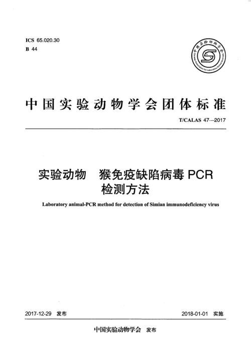 撰写高质量的摘要以避免查重