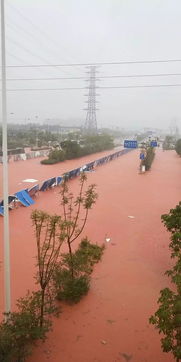 台风 暴雨来袭 广西多地已经开启 看海模式 ,而梧州湿漉漉的雨天还将持续到.. 