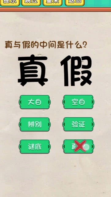 真与假的中间是什么 