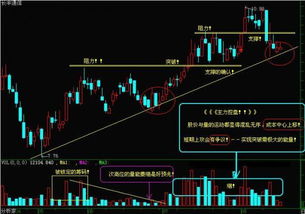 国家队大盘护底，现在股票怎么玩