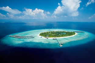 马尔代夫研究院岛王探索海洋神秘的奥秘