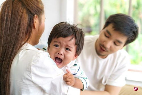 宝宝过敏怎么办(宝宝过敏怎么办5步帮助宝宝摆脱过敏困扰)