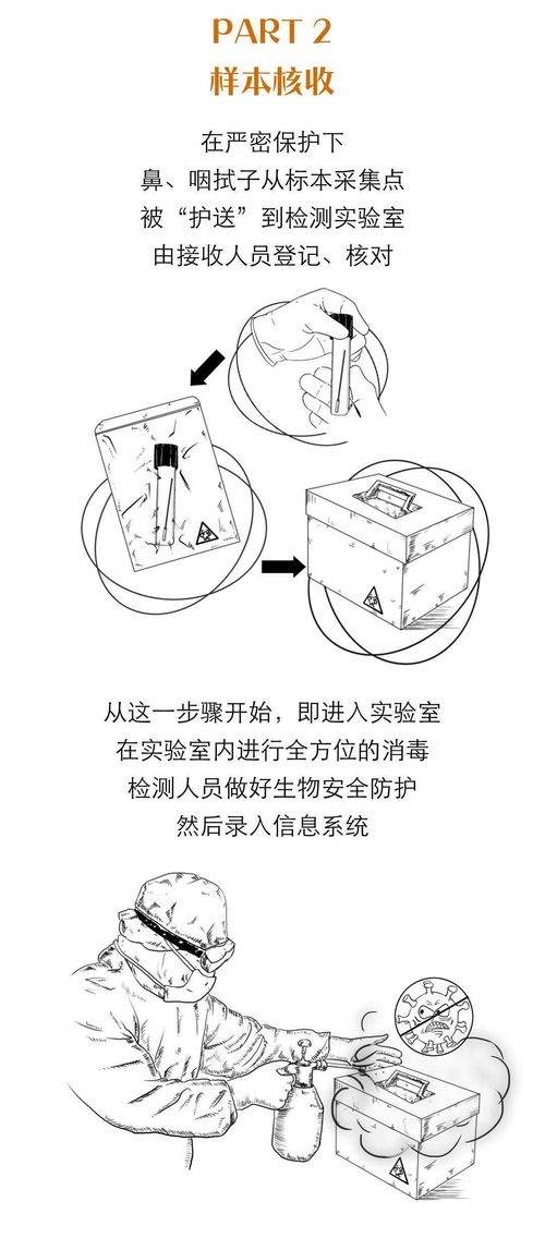 核酸检测为什么不能马上出结果 我市24小时核酸检测医疗机构有哪些 看这