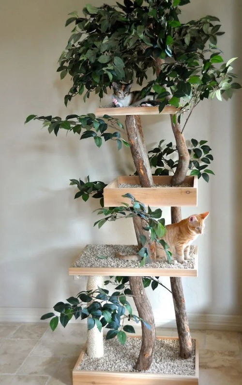 猫爬架变身真正的猫树,有树干树杈还有树叶,喵星人玩起来美滋滋