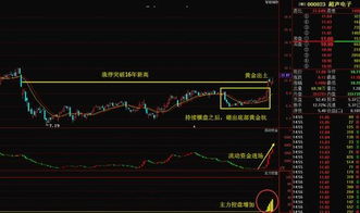 股票是从上市公司买入的还是从其他持股散户手中买入的