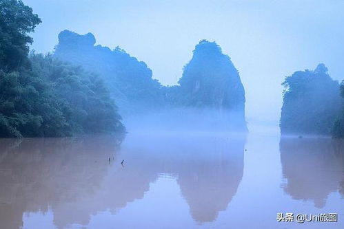 水心是什么意思