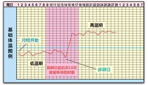 请问用体温计量体温，测排卵期准吗