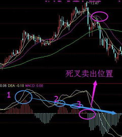 如何抓住逆势的牛股？