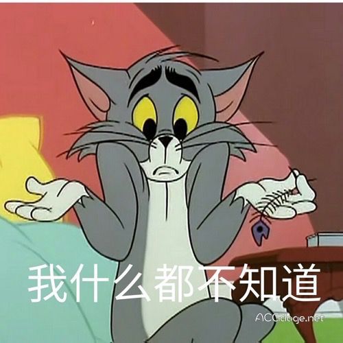 汤姆射爆, 猫和老鼠 计划推出真人与 CG 结合电影