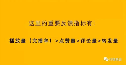 抖音持续涨粉的实战策略,让你小白也能迅速成为百万网红