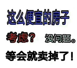 博宇名字的意思是什么