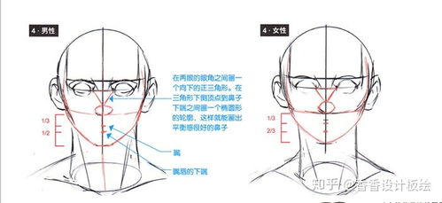 cdr轮廓字怎么把轮廓拆出来 人物脸部轮廓怎么画 教你如何轻松绘画脸部轮廓的画法 ...