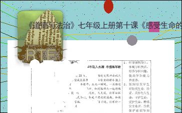 麻花出品必属精品是什么意思,深度解析背后含义  国内优质文娱内容推荐,让你不再剧荒