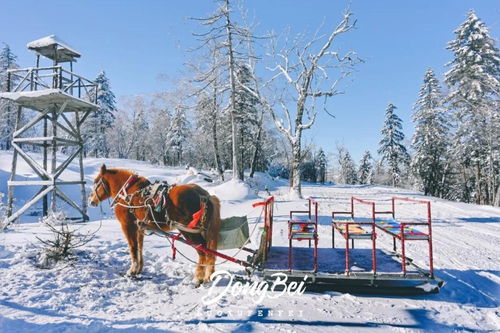 来东北何必非要去雪乡 这个UFO来过的地方才是真正的冰雪奇缘