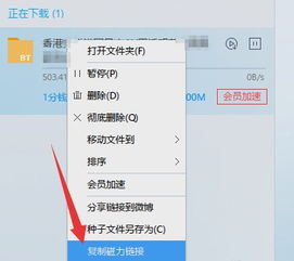 win10磁力链接失败怎么解决