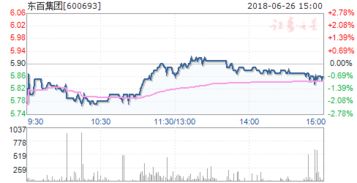 如何评价东百集团（600693）这支股票