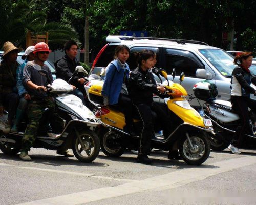 专家 遭打脸 新国标电动车,销量一片冷清,车主 买了就后悔