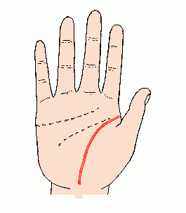 手掌纹怎么看,新技术快速识别人体手掌静脉纹路