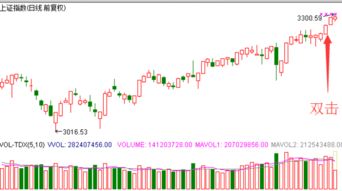 怎样让通达信(历史分时图)中显示10%坐标?怎样设置