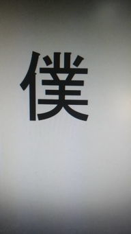 这个字,中文怎么读 