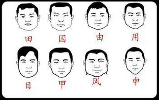 中字脸 申字脸是什么样的 还有什么脸型,分别是什么样的 怎么分辨 