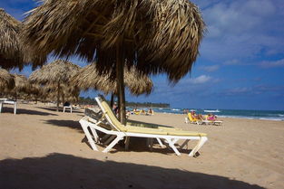 假日海滩,阳伞,假期,海滩,太阳,游泳,海,badeurlaub 