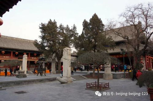 广济寺,求姻缘必去寺庙 