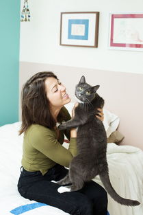 女人与猫 沙发留给前男友,猫留给我