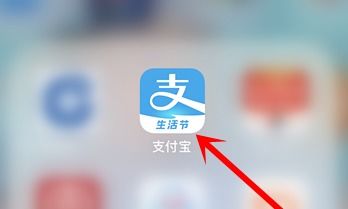 支付宝花呗暂不可用是怎么回事