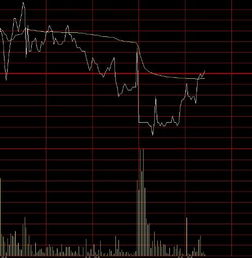 金钼股份这个股票好不好啊,我看好多基金公司重仓