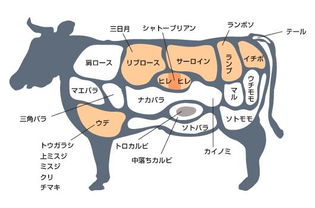 牛体各部位名称 搜狗图片搜索