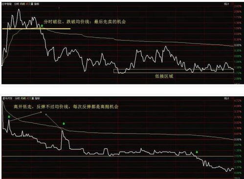 股票的最新报价低于开盘价是不是代表赔本？